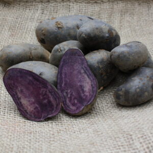 Violetta